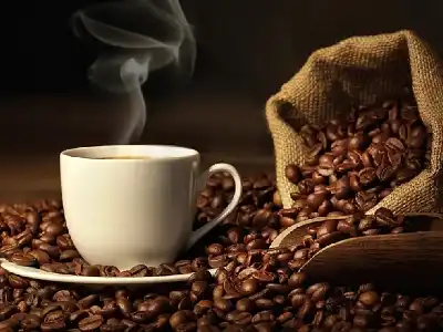 Một Đời Quản Trị
