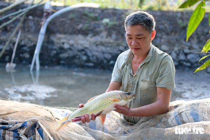 Cá bỗng 'hay dỗi' giúp người Tày ở Hà Giang làm du lịch