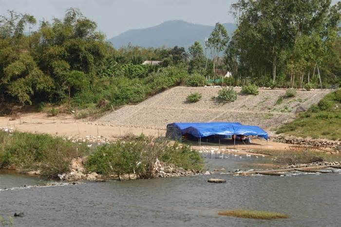 Lãnh đạo Sở NNPTNT Bình Định: Nói sạt lở bờ sông do nuôi vịt là 'tầm bậy'