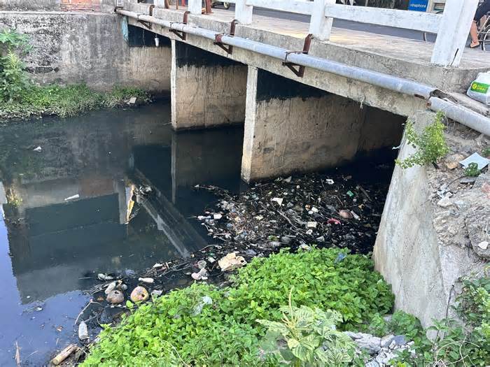 Sông Nha Trang bị rác thải bủa vây, bốc mùi nghiêm trọng