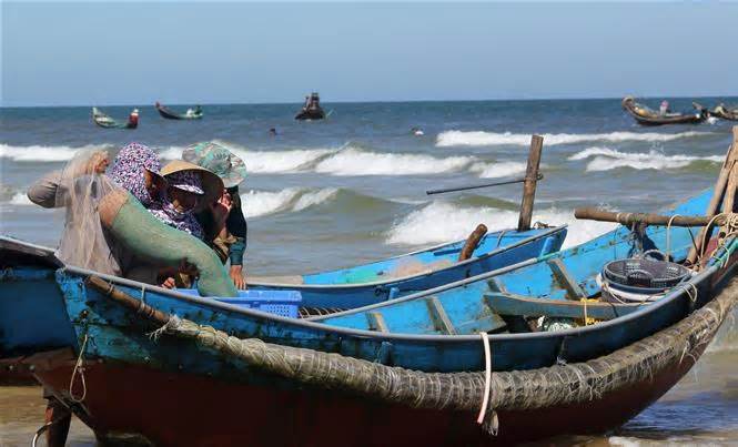 Quảng Ngãi kiên quyết ngăn chặn khai thác hải sản bất hợp pháp