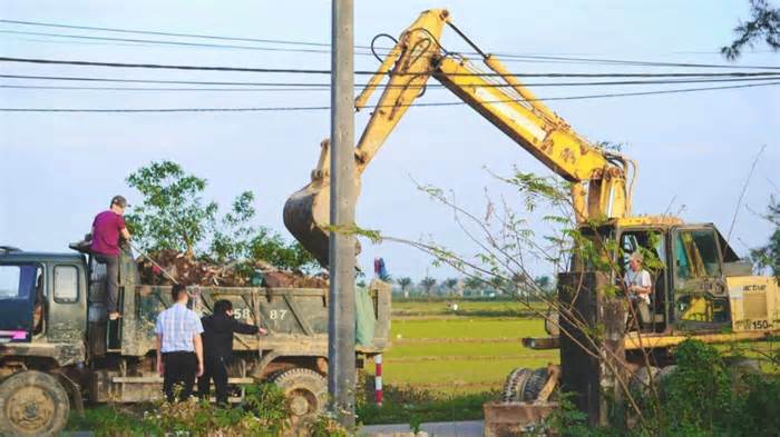 Đường đầy rác ở Huế đã được dọn sạch sau phản ánh của Báo Lao Động