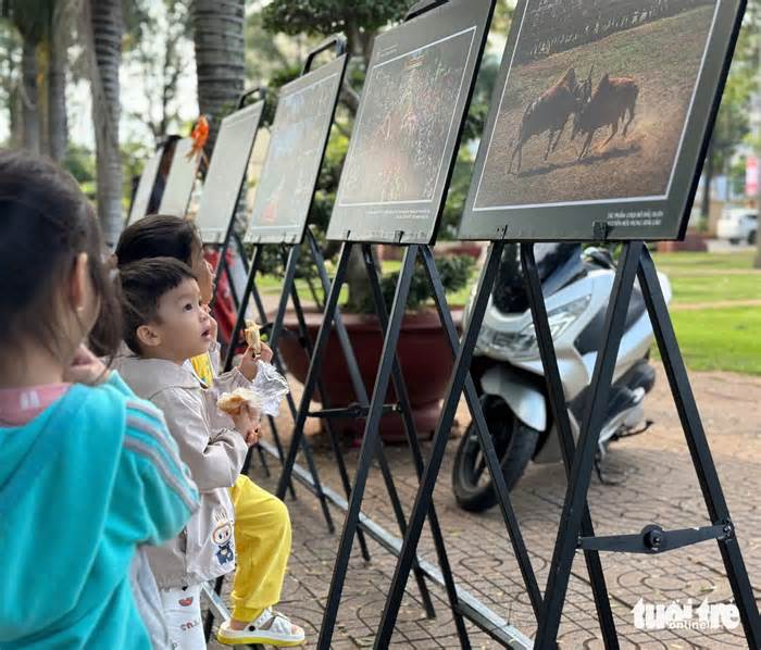 Du khách nước ngoài thích thú với triển lãm ảnh sắc màu Tây Nguyên