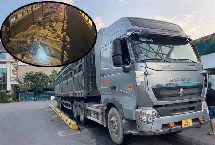 Phát hiện hàng loạt xe quá tải chở cát vàng từ ngoại tỉnh vào Hà Nội