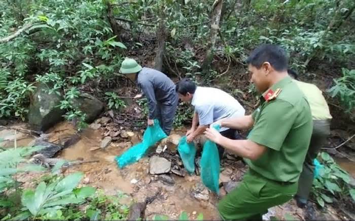 Gia Lai thả 8 cá thể trăn gấm, kỳ đà vân về môi trường tự nhiên