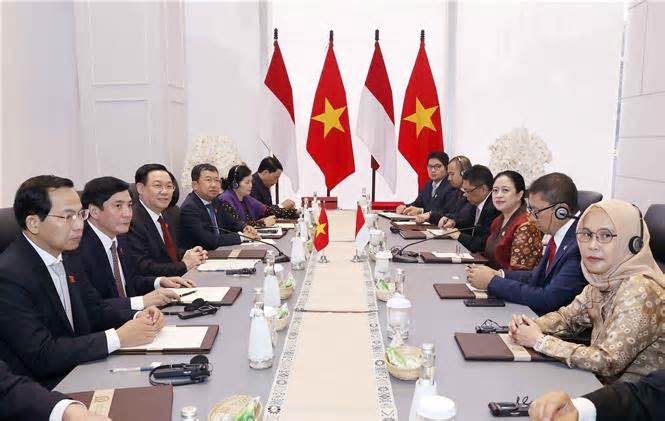 'Việt Nam là đối tác quan trọng chiến lược của Indonesia ở khu vực'