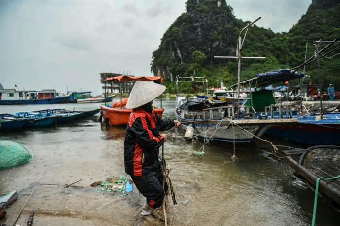 Bão số 2 áp sát Quảng Ninh - Hải Phòng, ngư dân hối hả đưa tàu thuyền vào bờ