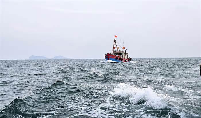 Nghệ An xử phạt 8 tàu đánh cá vì lỗi mất kết nối hành trình