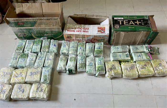 Phá đường dây vận chuyển hơn 290kg ma túy từ Lào về Việt Nam
