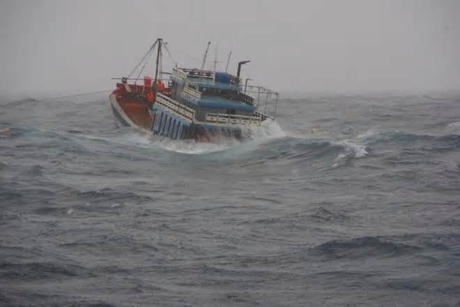 Tàu cá bị phá nước chìm, 11 ngư dân may mắn được cứu