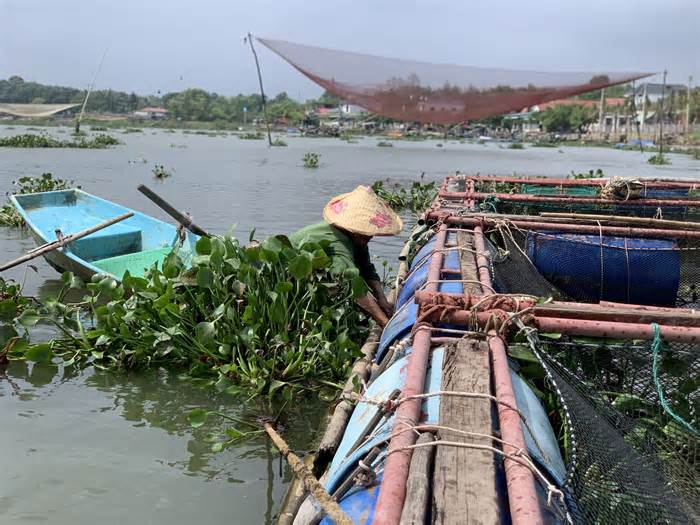 Người nuôi cá ở Hà Tĩnh hối hả gia cố lồng bè phòng chống mưa bão