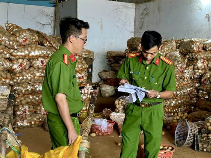 Điều tra vụ 'phù phép' khoai tây Trung Quốc thành nông sản Đà Lạt