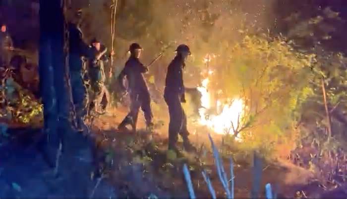 4 người nghi liên quan vụ cháy rừng liên huyện ở Nghệ An