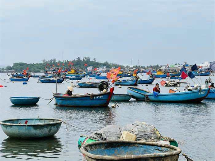 Lênh đênh nghề thuyền thúng