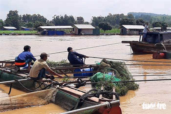 Nước sông Đồng Nai và sông La Ngà dâng cao gây thiệt hại lớn, tiếp tục cảnh báo ngập lụt