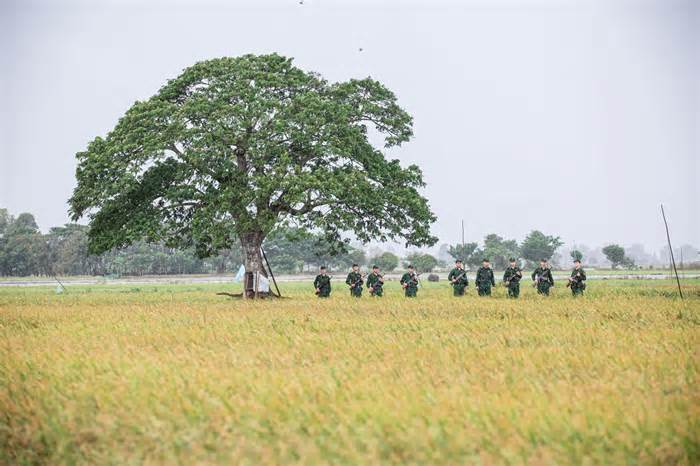 Chế độ đối với sĩ quan tại ngũ chuyển sang quân nhân chuyên nghiệp