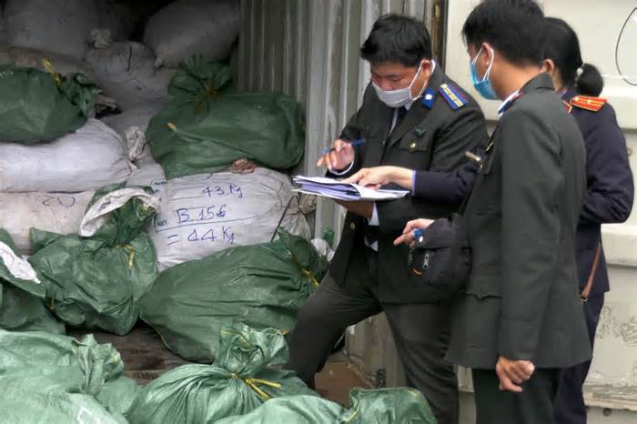 Đà Nẵng tiêu hủy hàng trăm kg ngà voi, sừng tê giác buôn lậu từ châu Phi