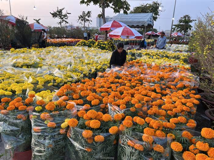 Lý do chợ hoa xuân Bình Điền vừa khai mạc đã… cháy hàng