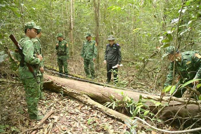 Giữ màu xanh cho những cánh rừng trên đảo ngọc Phú Quốc