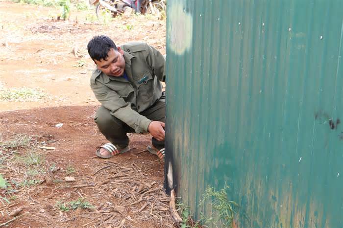 Điều tra làm rõ vụ việc Trạm Quản lý bảo vệ rừng ở Đắk Nông bị xả súng