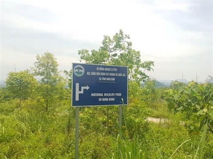 Gần 10 năm thi công dở dang, siêu đề án Công viên động vật hoang dã Quốc gia ở Ninh Bình chờ giải cứu