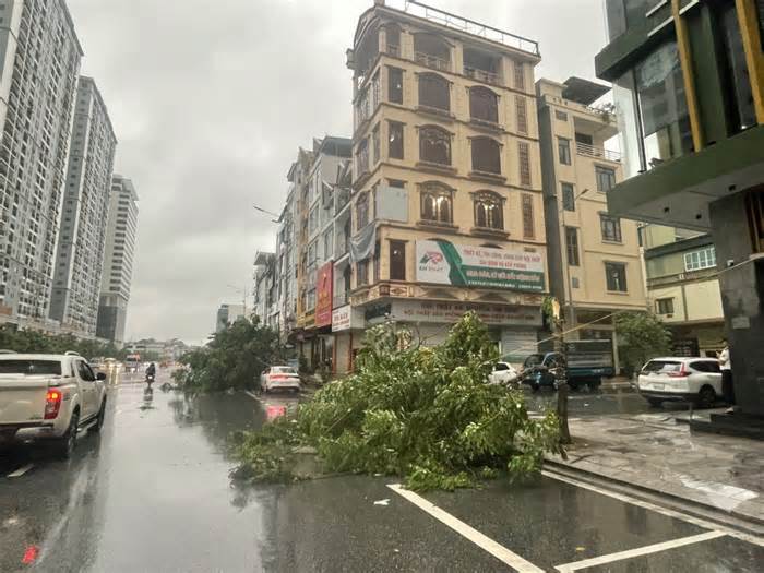 Bão áp sát Quảng Ninh: cây cối đổ rạp, nhiều tuyến đường ngập sâu