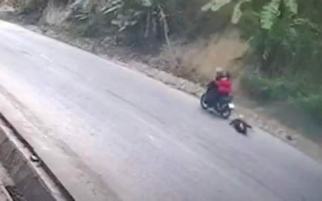 Bắt giữ đối tượng cướp xe máy, kéo lê người người phụ nữ trên đường quốc lộ