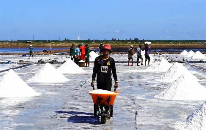 Bạc Liêu lần đầu tổ chức Festival muối