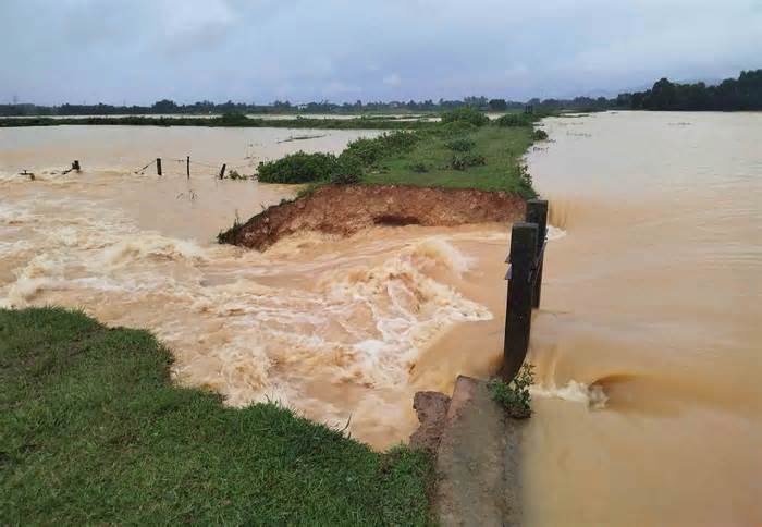 Vỡ đập gây ngập lúa, nước tràn vào vườn nhà dân