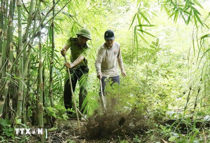 Đắk Lắk: Ngăn chặn tình trạng săn bắt động vật hoang dã, xâm hại tài nguyên rừng