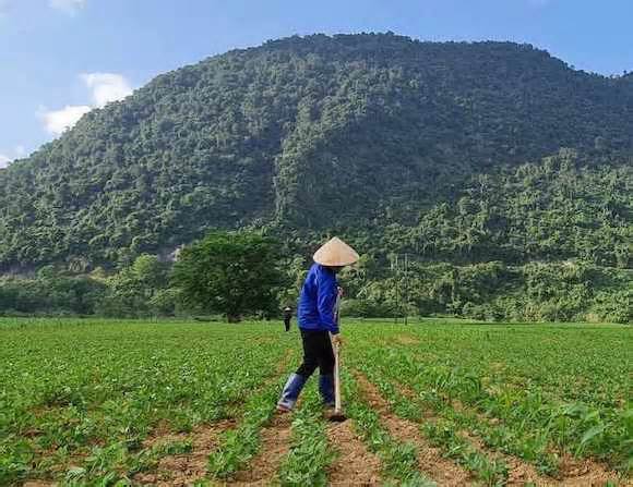 Sở Nông nghiệp Quảng Bình thông tin về nghi vấn lạc giả cung ứng cho dân