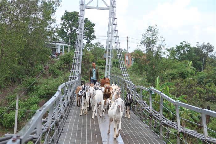 Nhiều cầu treo ở vùng biên Đắk Lắk hư hỏng, xuống cấp nghiêm trọng