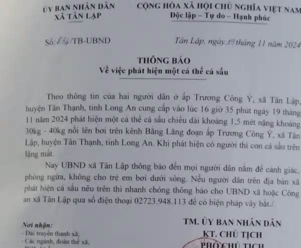 Lại phát hiện cá sấu nổi trên kênh ở Long An