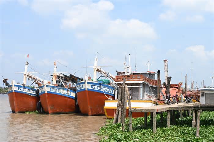Sản lượng đánh bắt giảm, nhiều tàu cá Tiền Giang nằm bờ vì thua lỗ