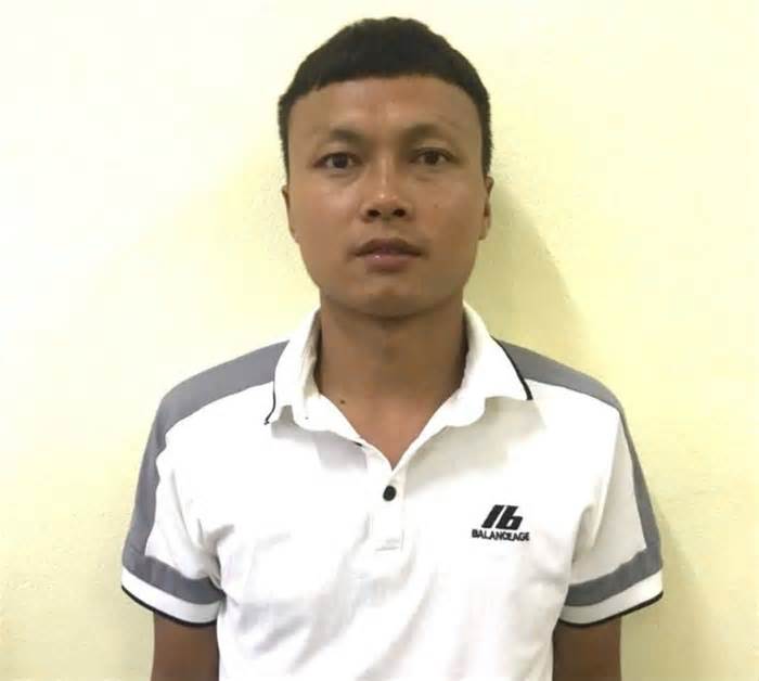Bị khởi tố vì cưa cây, vô ý làm chết người