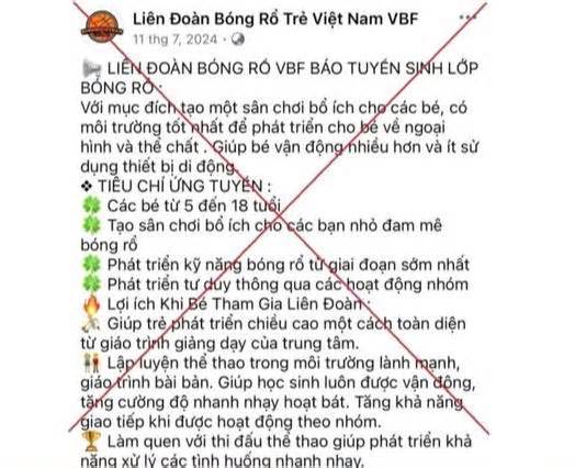 Bị lừa hơn 1 tỷ đồng sau khi đăng ký cho con học bóng rổ qua mạng