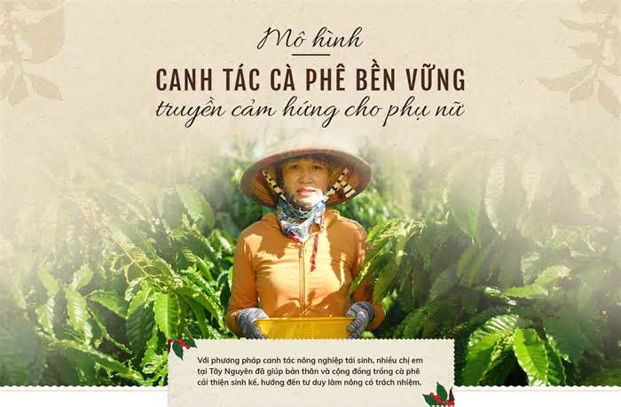 Mô hình canh tác cà phê bền vững truyền cảm hứng cho phụ nữ