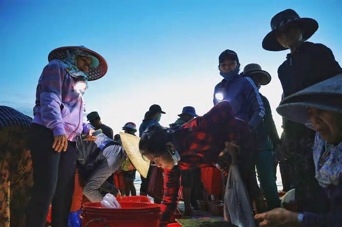 Bình minh đẹp như tranh tại vựa tôm cá lớn nhất Quảng Nam
