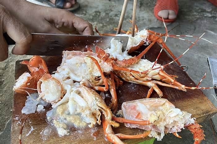 Bơm thạch rau câu 'biến' tôm hùm chết thành tươi
