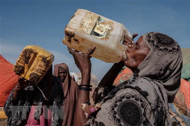 'Vùng Sừng châu Phi mất an ninh lương thực nghiêm trọng chưa từng có'