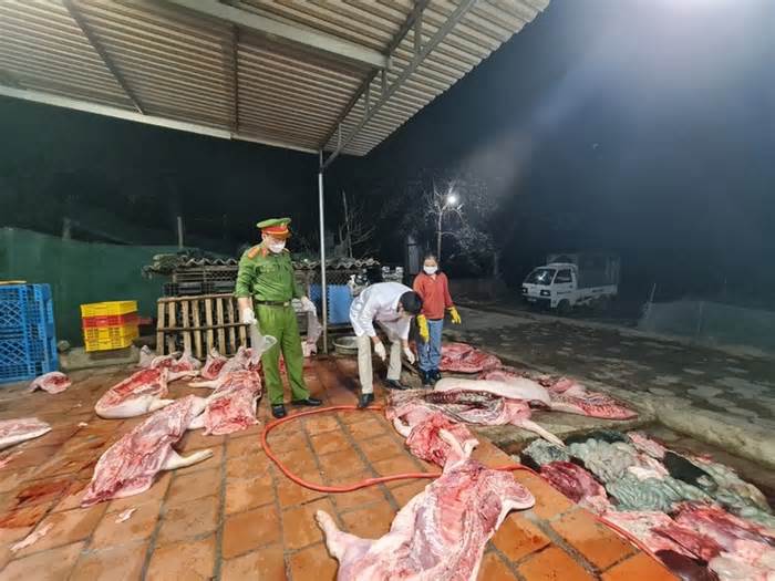 Phát hiện cơ sở giết mổ hơn 1 tấn lợn đã chết ở Bắc Giang