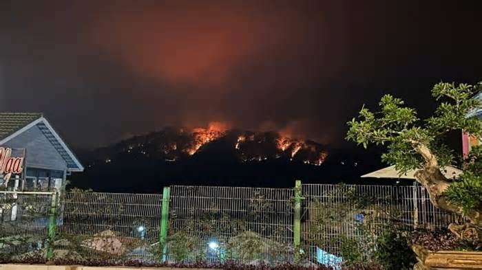Lâm Đồng: Đang cháy rừng phòng hộ trên đèo Prenn