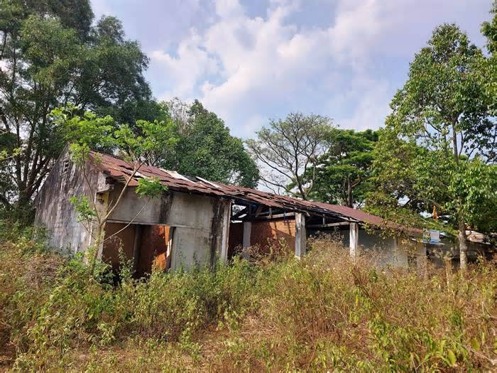 Vụ lãng phí 'đất vàng' ở Gia Lai: Cam kết đưa vào sử dụng, triển khai dự án mới