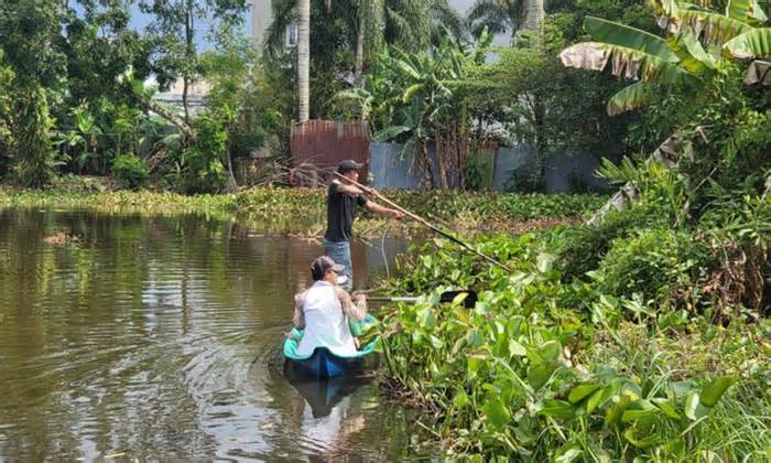 Xuyệt điện cả ngày lẫn đêm bắt 4 con cá sấu sổng chuồng