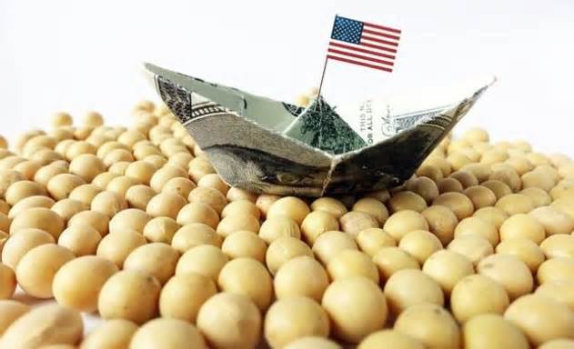 Trung Quốc - Khách hàng mua đậu tương lớn nhất và không thể thay thế của Mỹ