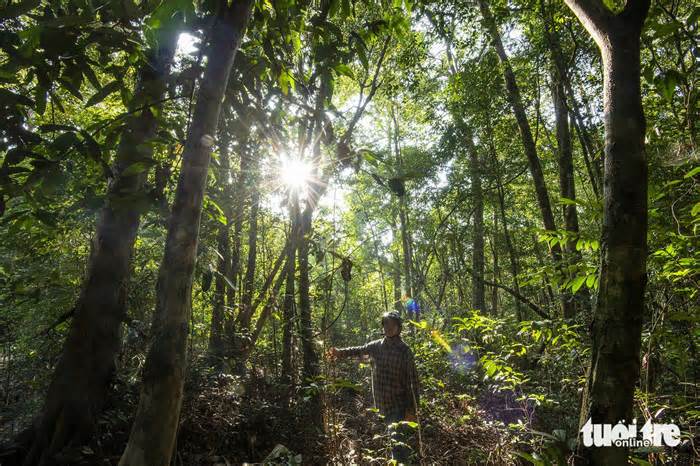 Cảnh báo nhóm lừa đảo yêu cầu dân đóng tiền để cấp đất ở Vườn quốc gia Phú Quốc