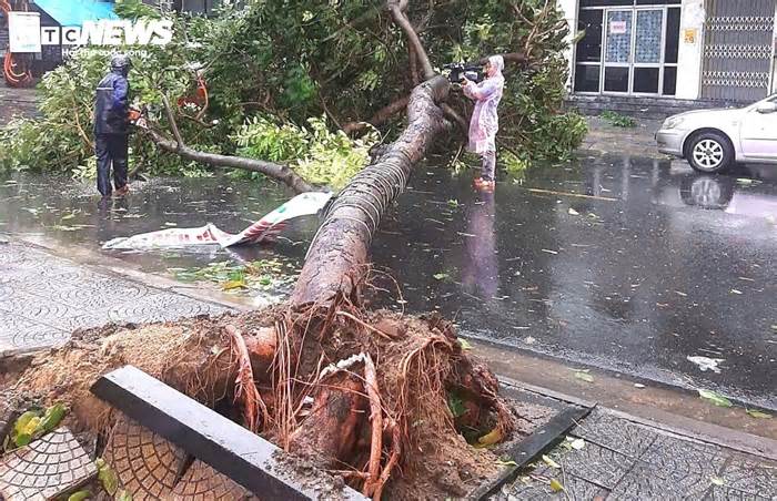 Bão Trami áp sát đất liền, Đà Nẵng điều xe thiết giáp sẵn sàng ứng cứu