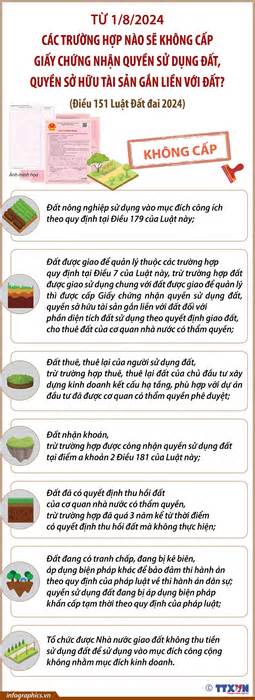 Các trường hợp nào không cấp giấy chứng nhận quyền sử dụng đất từ 1-8-2024?