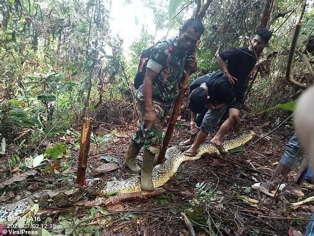 Người mẹ trẻ Indonesia bị trăn 9m nuốt chửng khi đi mua thuốc cho con