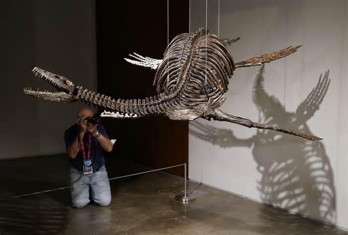 Hoá thạch khủng long liên quan tới quái vật hồ Loch Ness được bán đấu giá